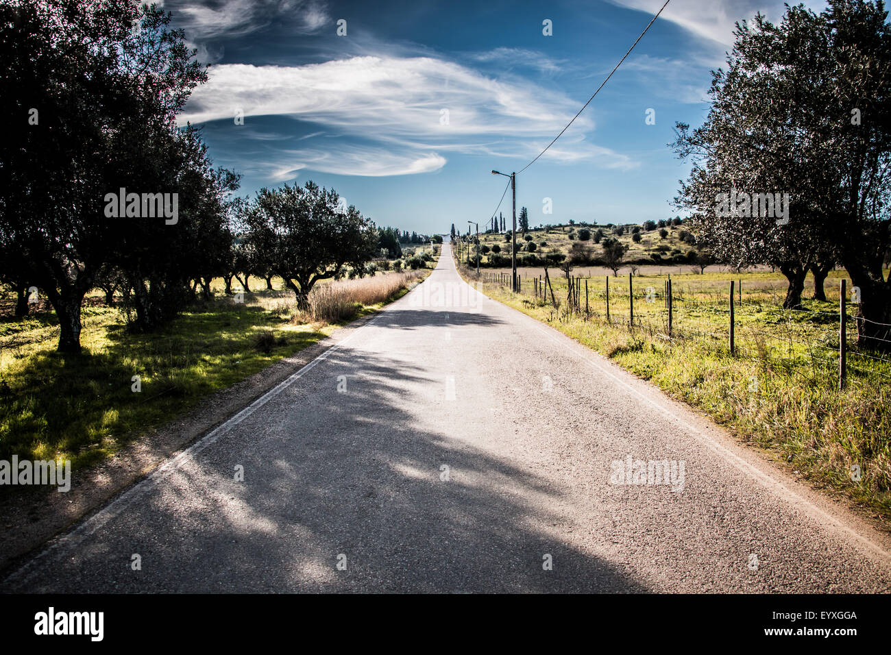 Camino infinito Foto de stock