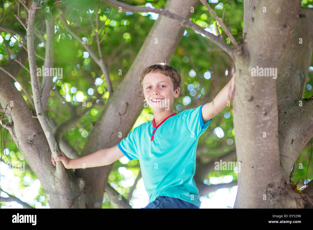 Ángulo de visión baja de caucásico boy árbol de escalada Foto de stock
