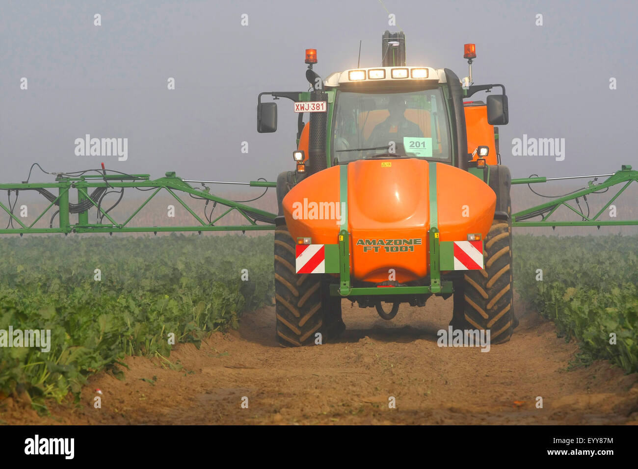 Tractor la fumigación de herbicidas en el campo de coles, Bélgica Foto de stock