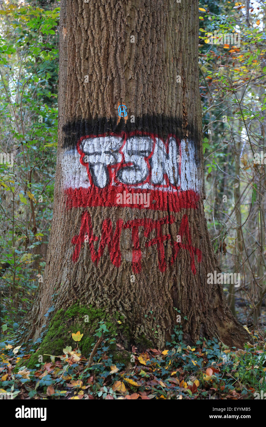 Graffiti en el tronco de un árbol, Alemania Foto de stock
