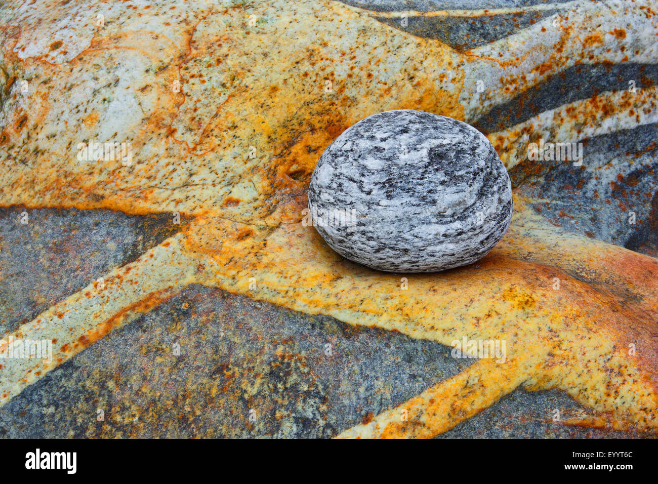 Guijarro en gneis con bandas de cuarzo, Suiza, Ticino, Verzascatal Foto de stock