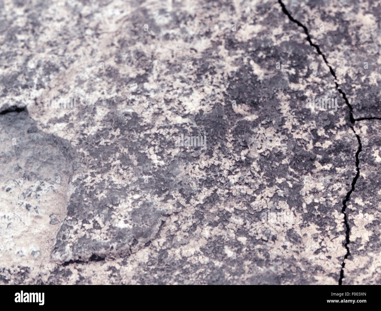 El cobre shale, Europa Central Foto de stock