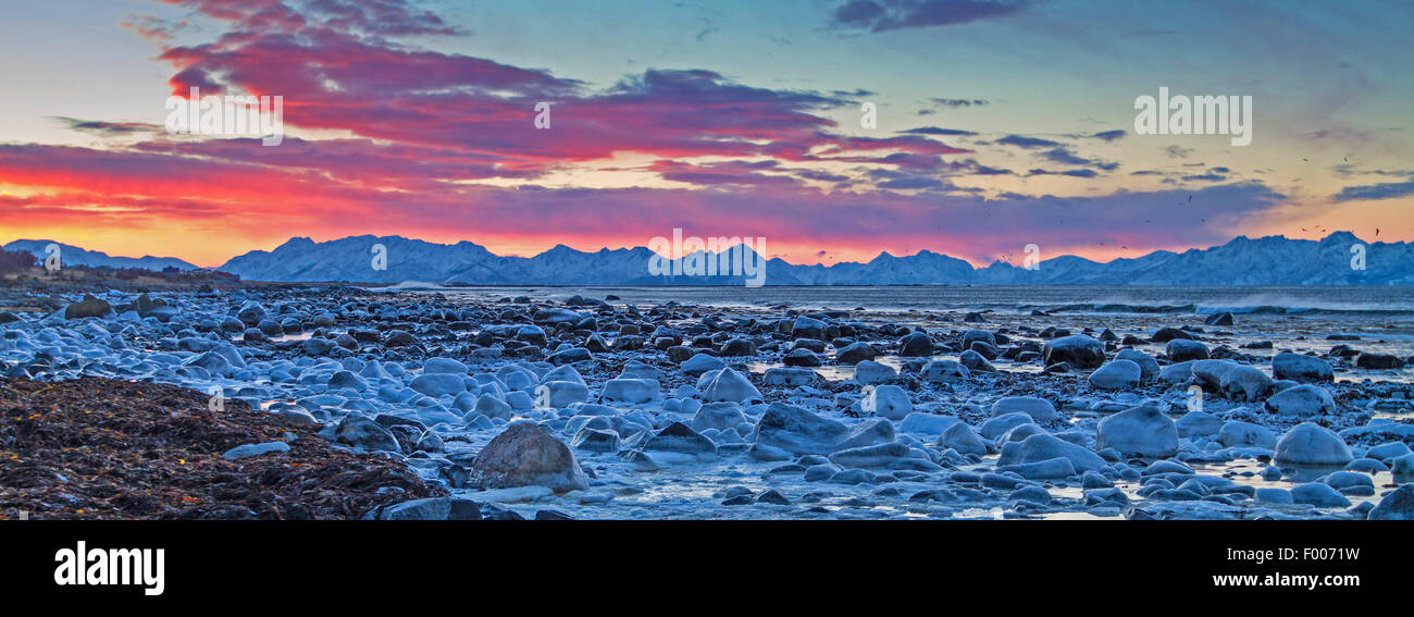 Témpanos de hielo en la costa, el brillo del sol de medianoche detrás del horizonte en una noche polar a través de Lang°ya , Noruega VesterÕlen, Insel y °ya, Andenes Foto de stock
