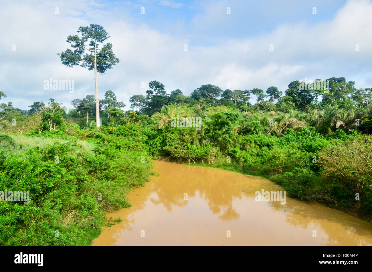Un río marrón en Ghana Foto de stock