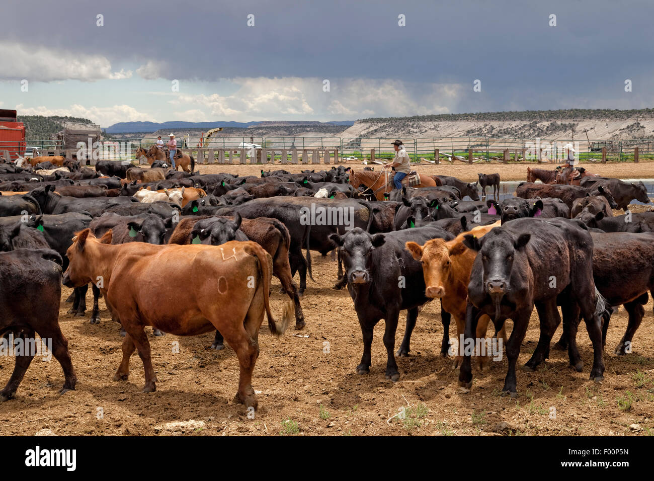 Corral de ganado - Utah Foto de stock