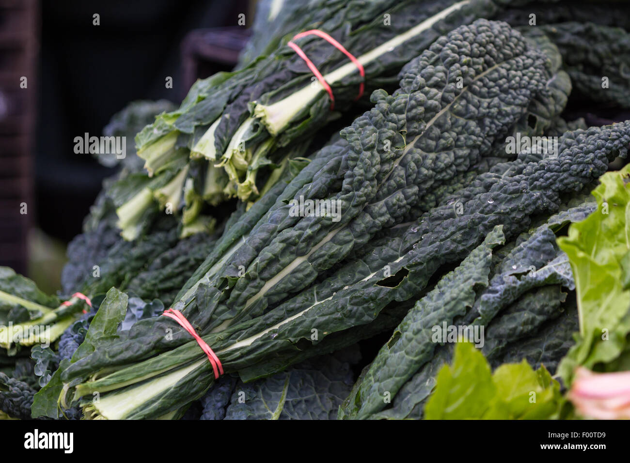 Kale orgánicos locales para venta en un mercado de granjeros en Calistoga California Foto de stock