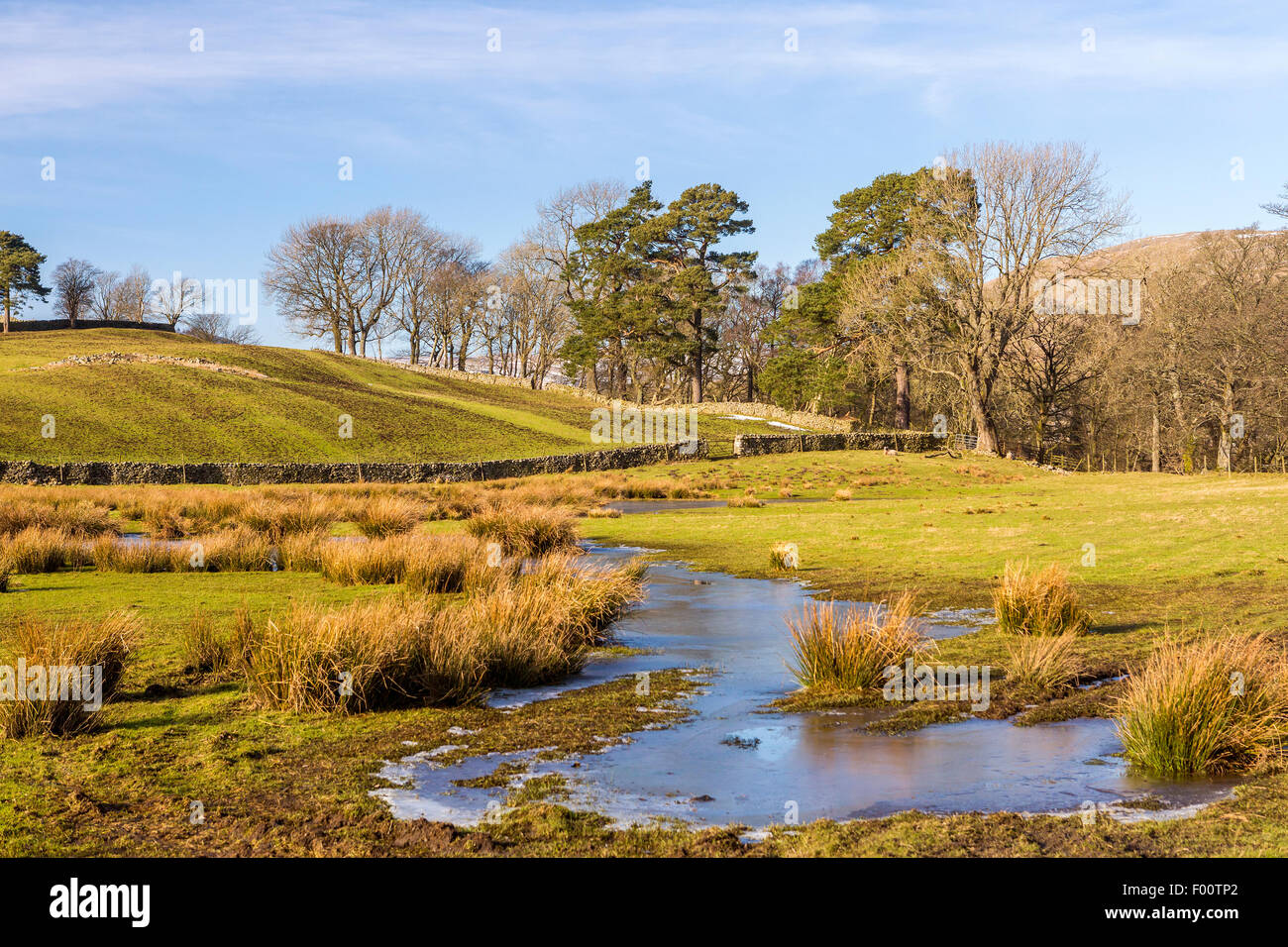 Muros de piedra seca, Yorkshire Dales National Park, Hawes, North Yorkshire, Inglaterra, Reino Unido, Europa. Foto de stock