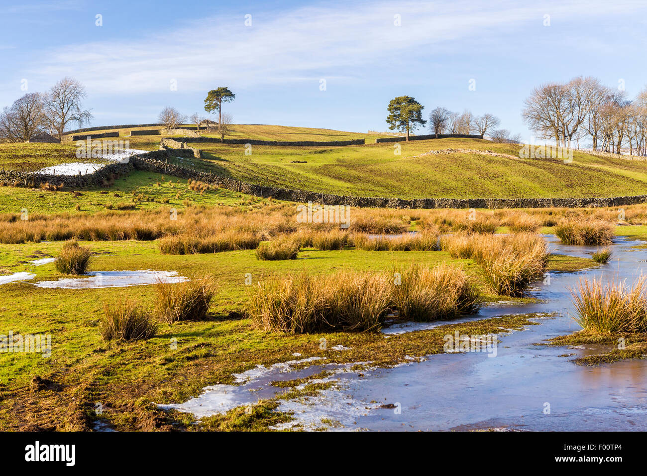 Muros de piedra seca, Yorkshire Dales National Park, Hawes, North Yorkshire, Inglaterra, Reino Unido, Europa. Foto de stock