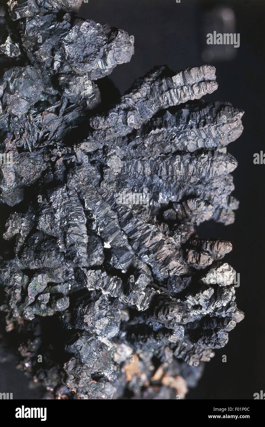 Minerales: Bornita (Cobre Hierro Sulfide) Foto de stock