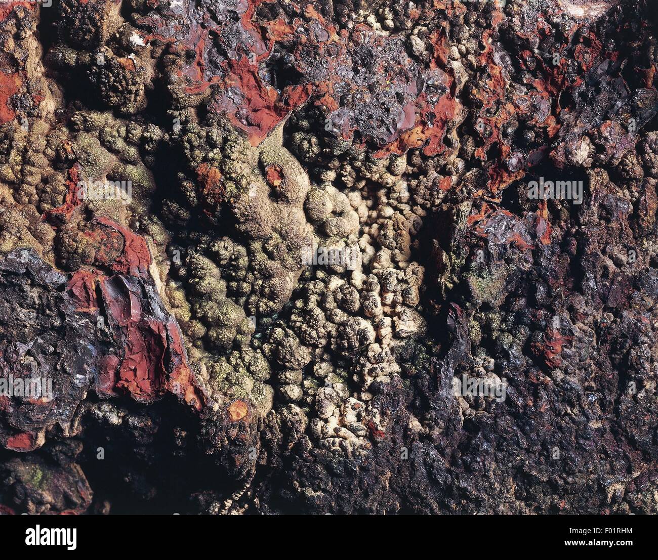 Minerales: Concretional goethita Foto de stock