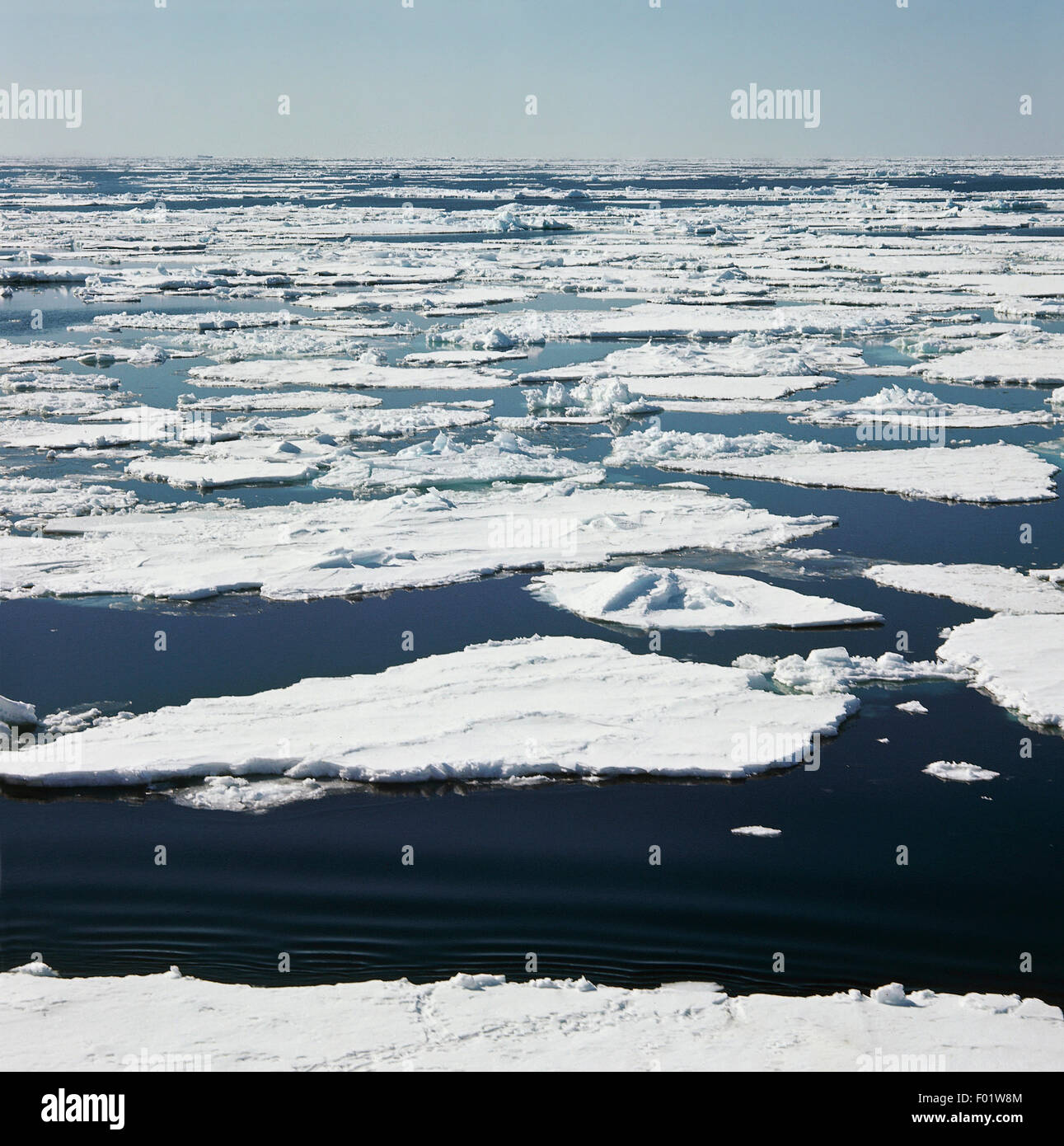 Témpanos de hielo flotando sobre el agua, el Mar de Ross, en la Antártida. Foto de stock