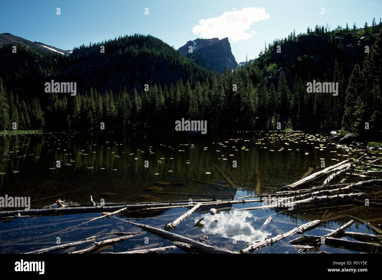 Estanque con nenúfares, el Parque Nacional de Rocky Mountain, Colorado, Estados Unidos de América. Foto de stock