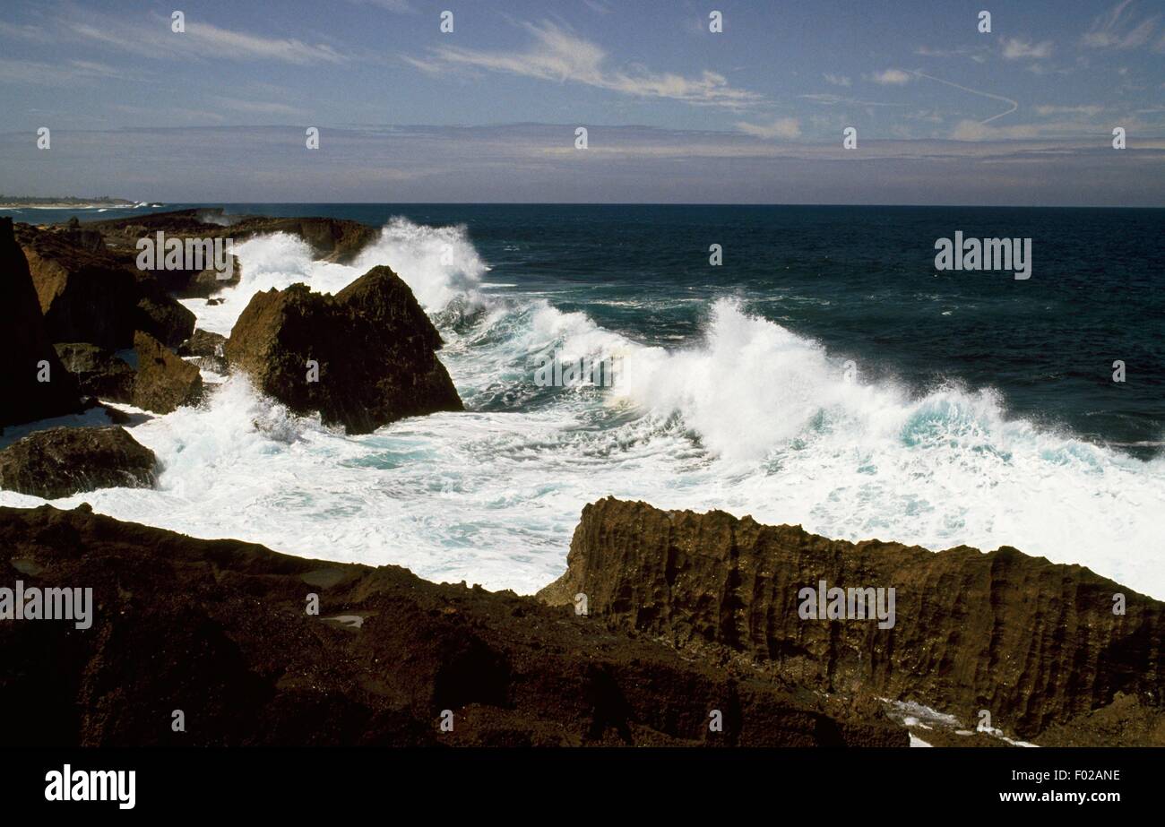 Las olas que rompen en la costa rocosa, Puerto Rico. Foto de stock