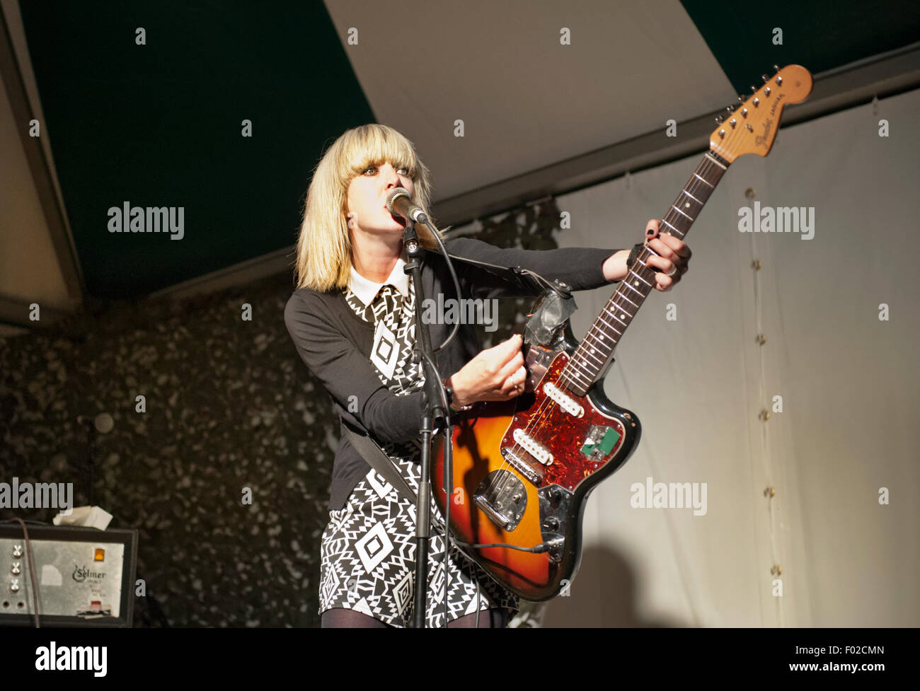 La encantadora huevos (Holly Ross) en concierto en el Festival de Música y Arte Cloudspotting, Gisburn Bosque, Lancashire, Reino Unido, julio de 2015. Foto de stock