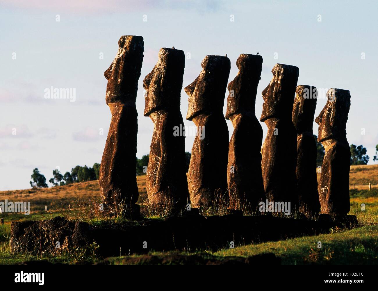 Siete Moai monolito antropomorfo (Escultura), Ahu Akivi, Parque Nacional Rapa-Nui (Lista de Patrimonio Mundial de la UNESCO, 1995), la Isla de Pascua, Chile. Foto de stock