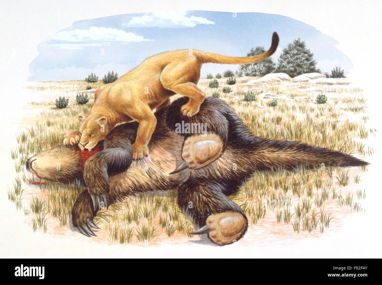 Paleozoología - Pleistoceno - Dinosaurios - Smilodon rompe en pedazos un gigante Ground Sloth - Obras de Arte por Nicholas Precio Foto de stock