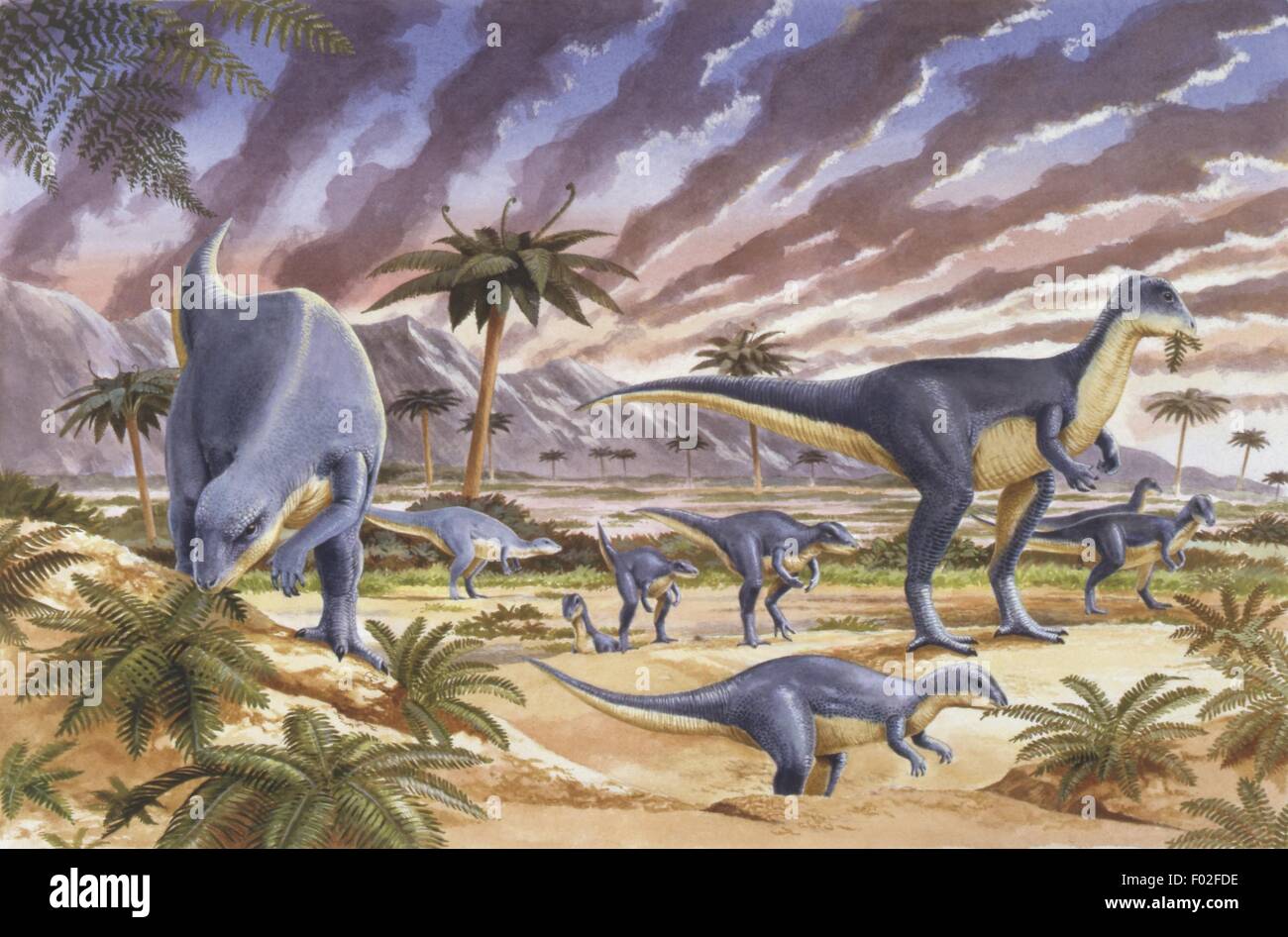 Paleozoología - período Jurásico - Dinosaurios - Rebaño de Dysalotosaurus (Dryosaurus) - Obras de Arte por Nick Pike Foto de stock