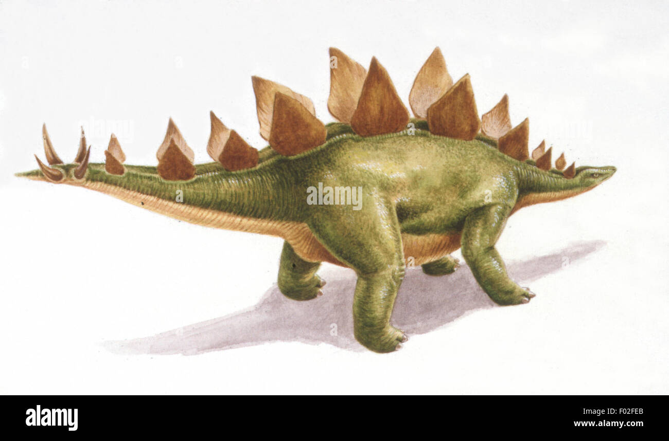 Paleozoología - período Jurásico - Dinosaurios - Stegosaurus - Obra de Arte de Nick Pike Foto de stock