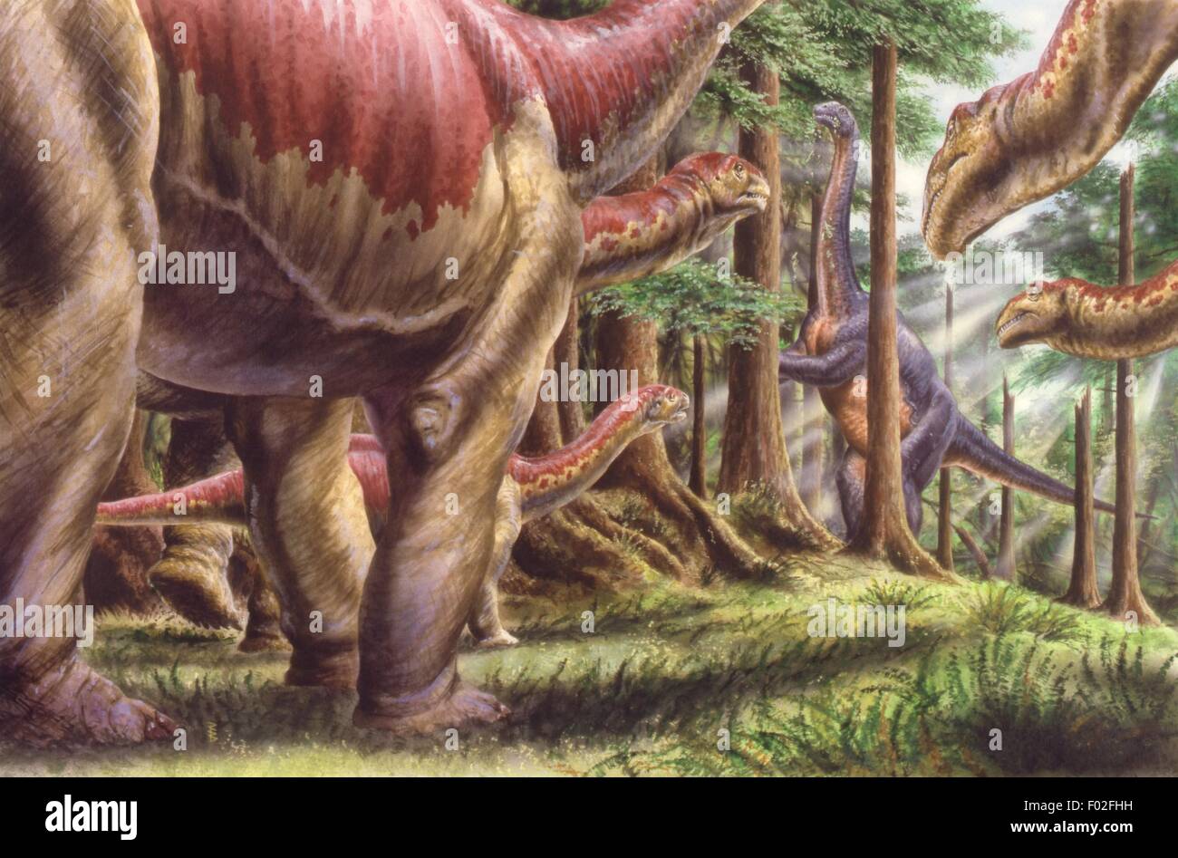 Paleozoología - período Jurásico - Dinosaurios - Rebaño de Kotasaurus - Obras de Arte Robin Boutell Foto de stock