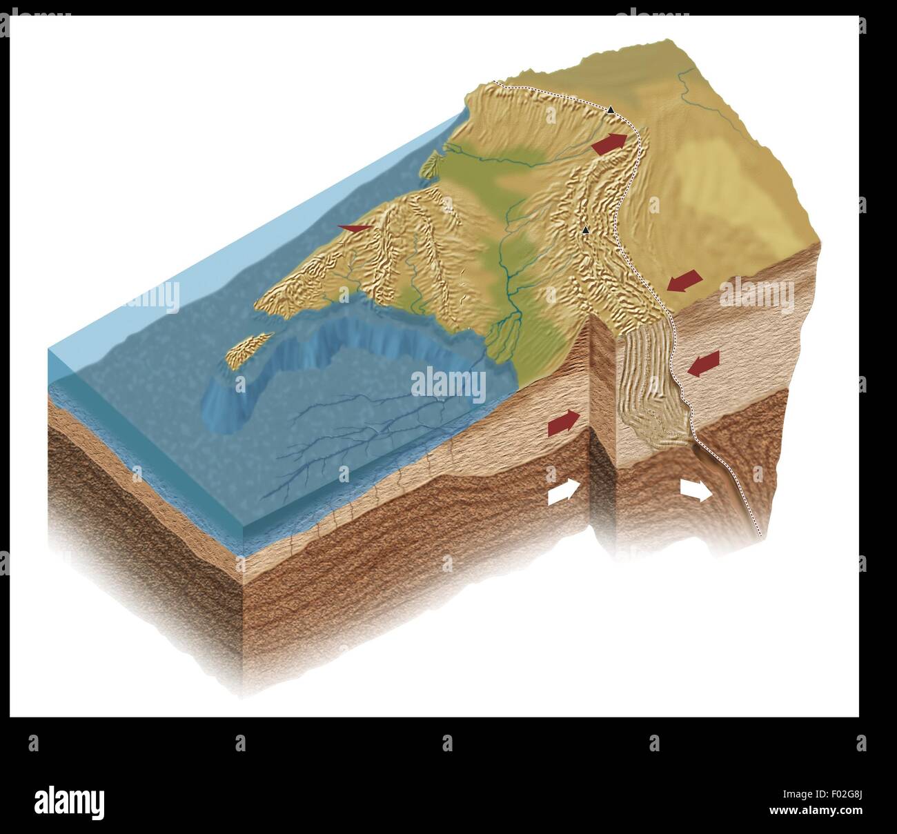 Geología. Colisión de las placas de India y Eurasia que condujo a la