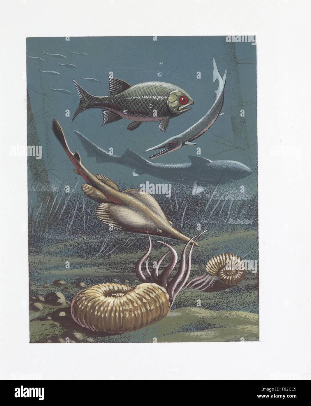 Peces prehistóricos, vista submarina, ilustración Foto de stock