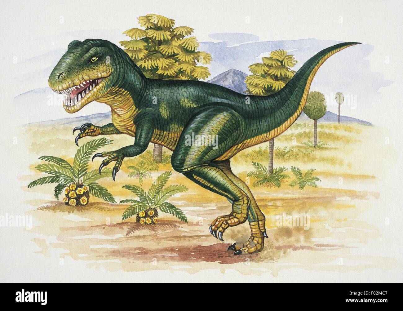 Close-up de una pintura - Paleozoología - - - Afrovenator Cretácico  dinosaurios - placa pictórico por Clive Pritchard Fotografía de stock -  Alamy