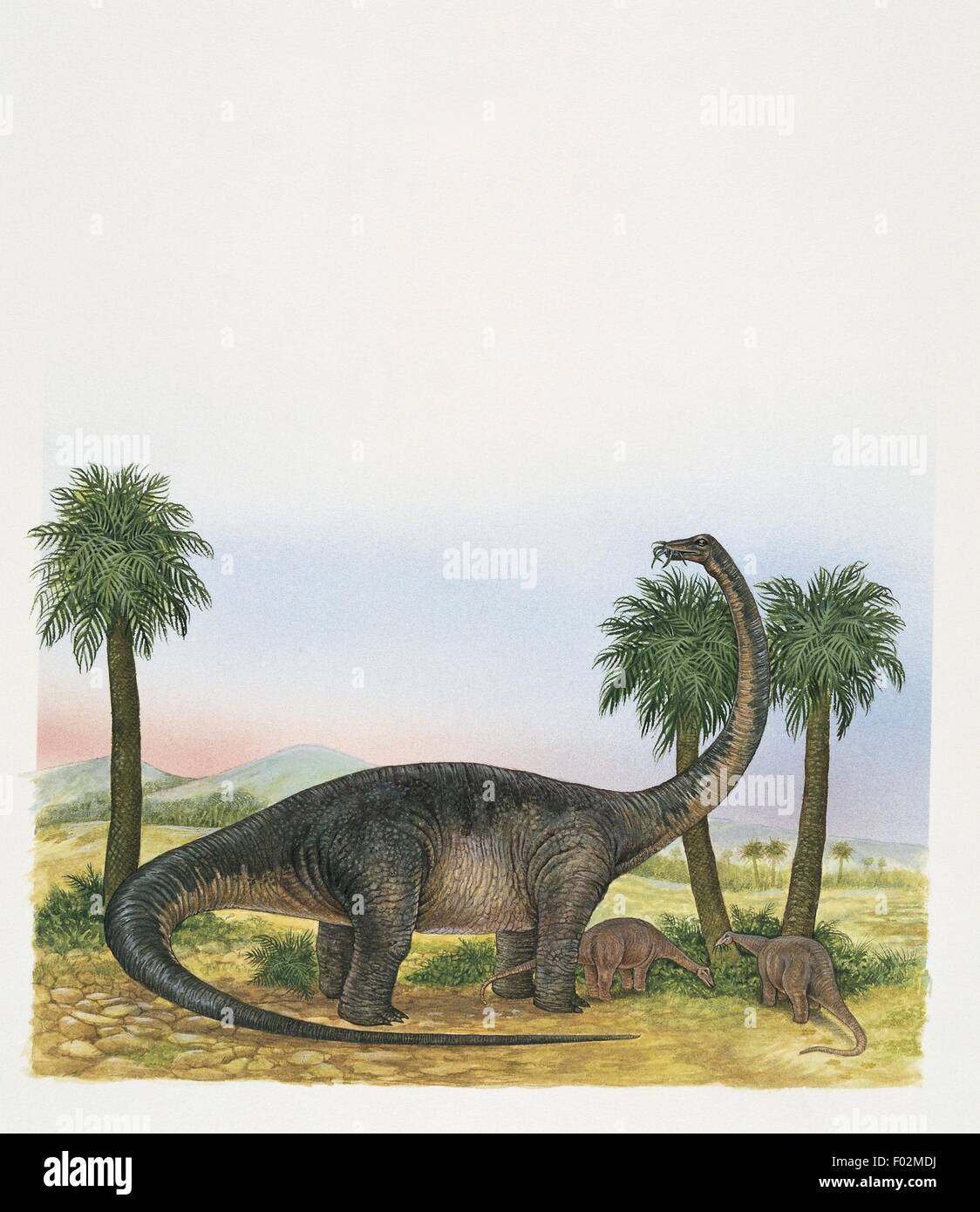 Paleozoología - Período Cretácico - Dinosaurios - Quaesitosaurus (obra de arte de Stuart Lafford) Foto de stock