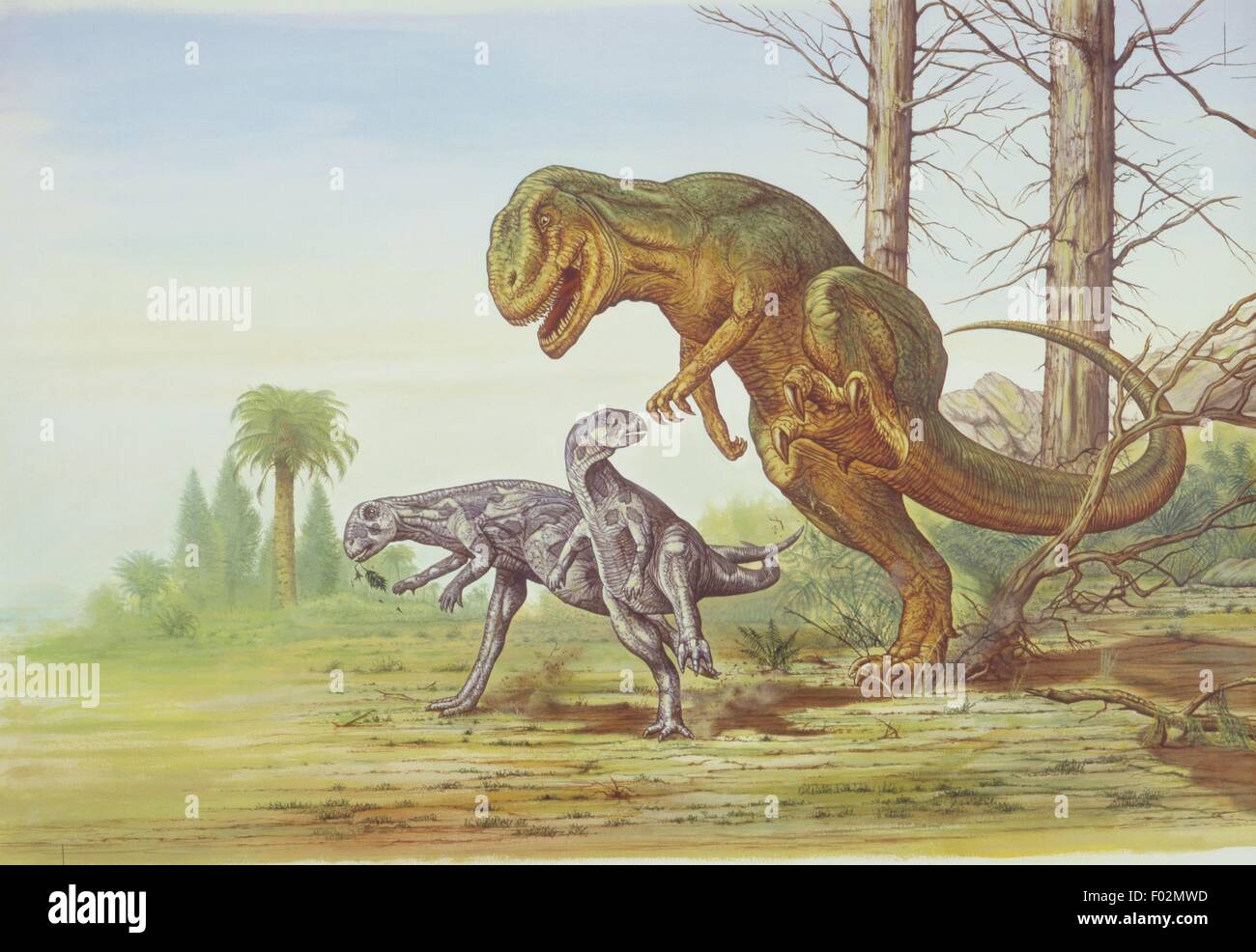 Paleozoología - período Jurásico - Dinosaurios - Allosaurus y Dryosaurus - Obras de Arte Foto de stock