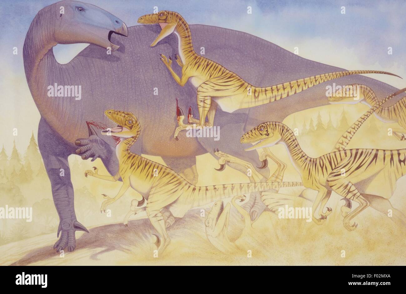 Paleozoología - Período Cretácico Inferior - Dinosaurios - Deinonychus - Obras de Arte Foto de stock