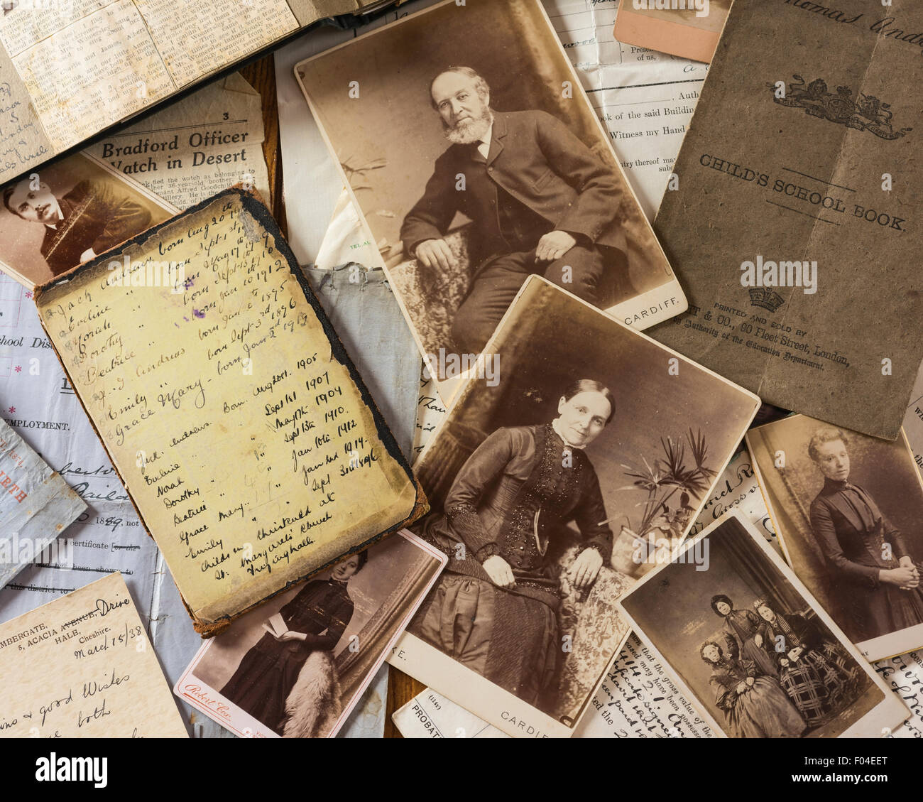 Árboles de la familia. Genealogía. Fotos y documentos. Foto de stock
