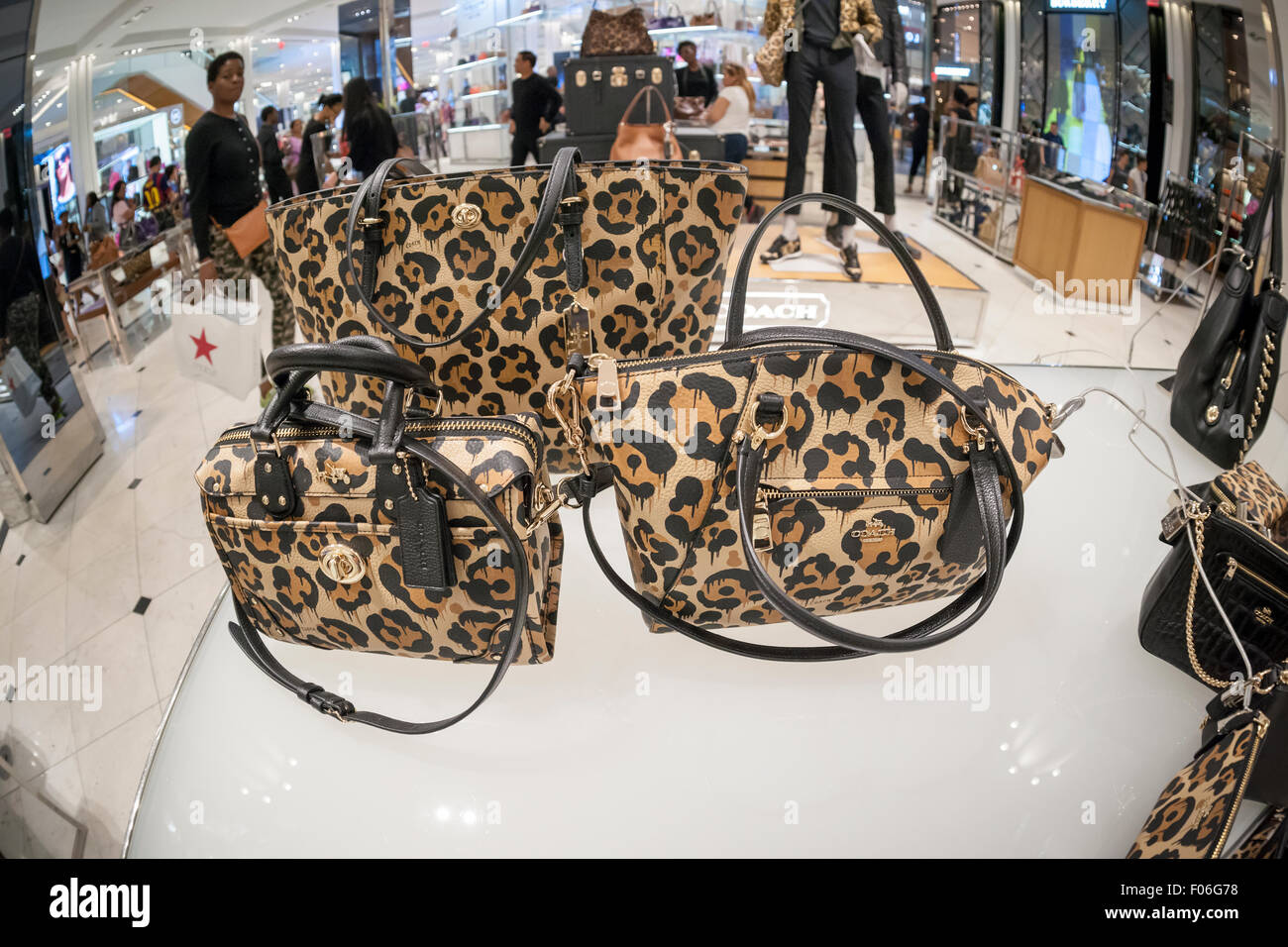 Coach bolsos en exhibición en el entrenador boutique dentro de Macy's en  Nueva York el martes, 4 de agosto de 2015. Entrenador de ventas global cayó  un 12% el último trimestre pero