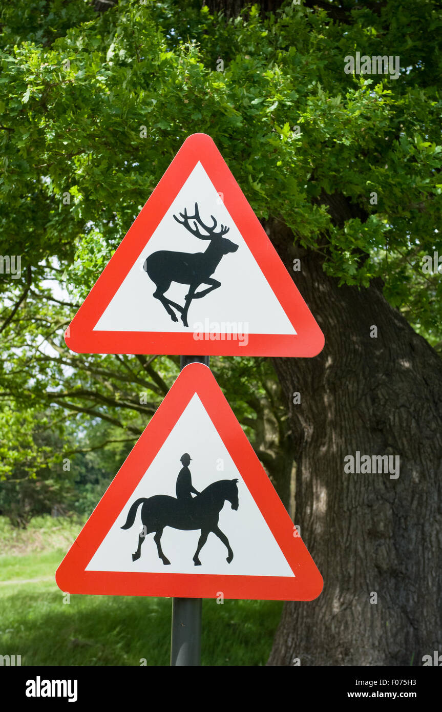 Richmond Park. Ejecución de venado y caballo y jinete triángulo rojo