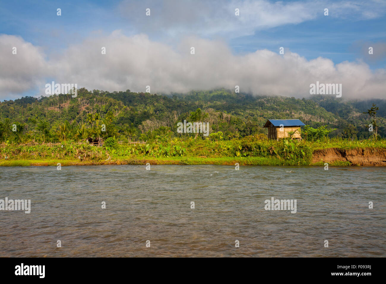 Tierras agrícolas y una cabaña agrícola a orillas de un río cerca de Lubuk Sikaping, Pasaman, Sumatra occidental, Indonesia. Foto de stock