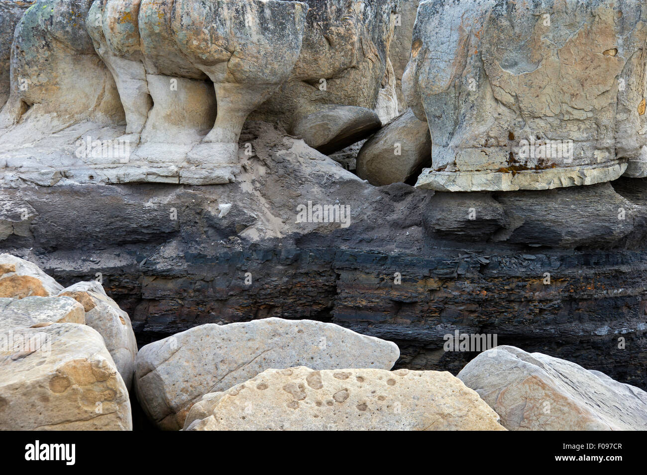 Estratificación de roca a lo largo de la costa de Boltodden, Kvalvagen / Svalbard, Spitsbergen, Noruega Foto de stock