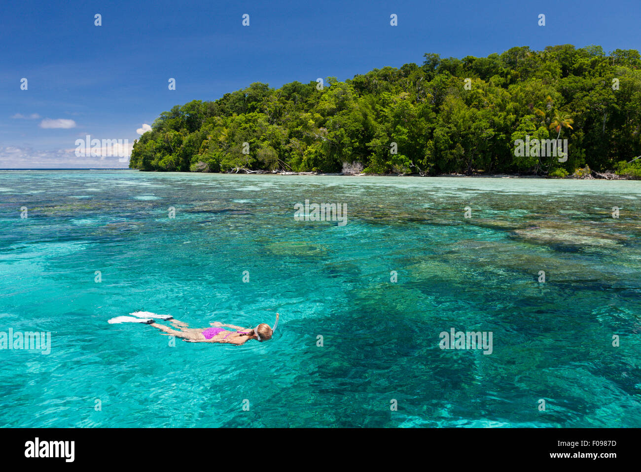 El snorkeling en las Islas Salomón, Laguna Marovo, Islas Salomón Foto de stock