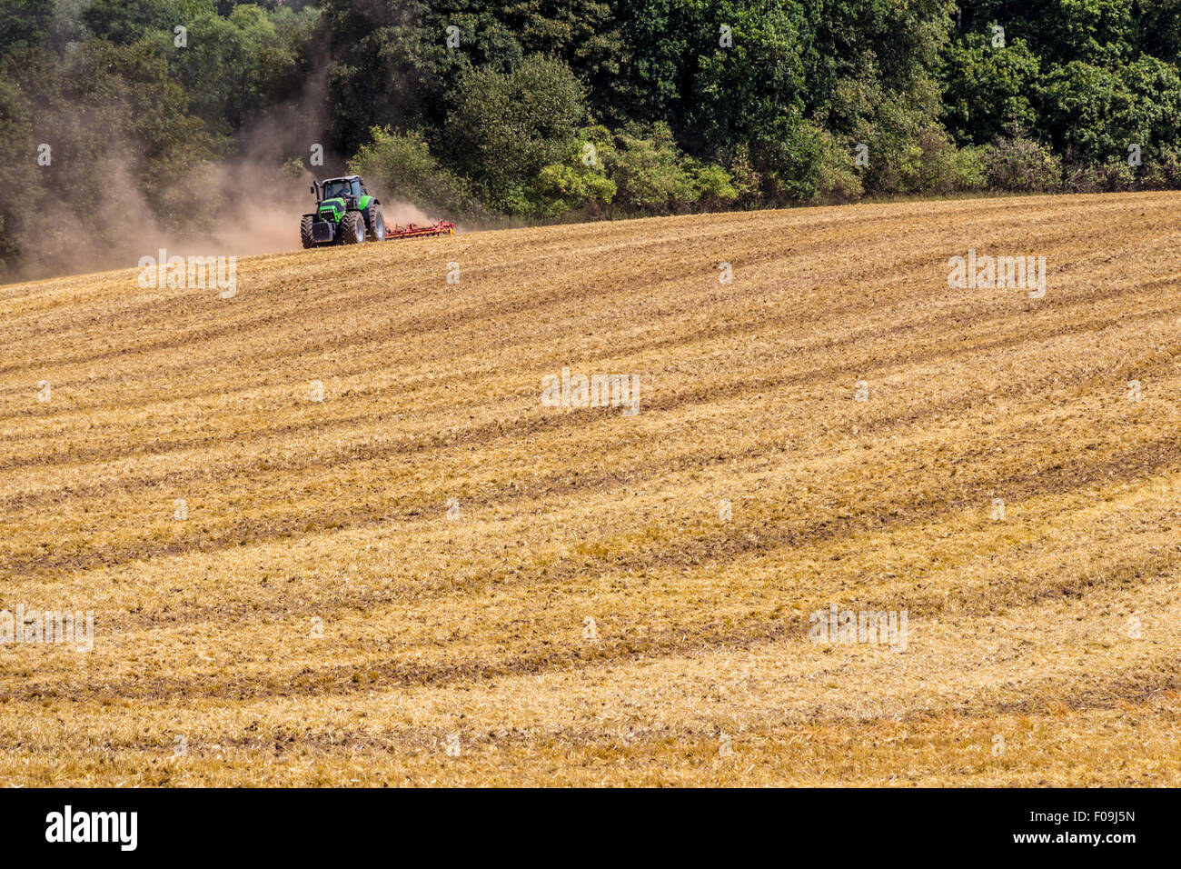 Cosechadora Tractor trabajando en el campo de colza en verano Foto de stock