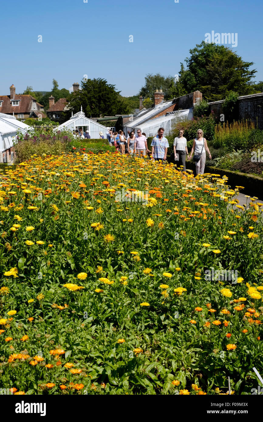 La gente disfruta de los jardines fuera de la guindilla festival west dean gardens chichester Inglaterra 2015 Foto de stock
