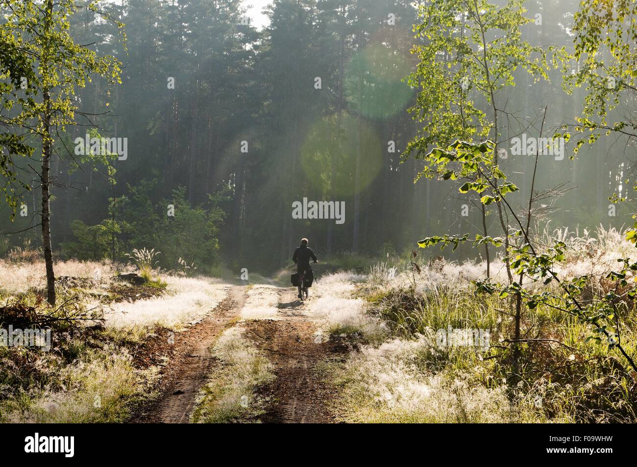 Ciclista en bicicleta Equitación Warmia-Masuria cerca de Mikolajki camino forestal en Polonia Foto de stock