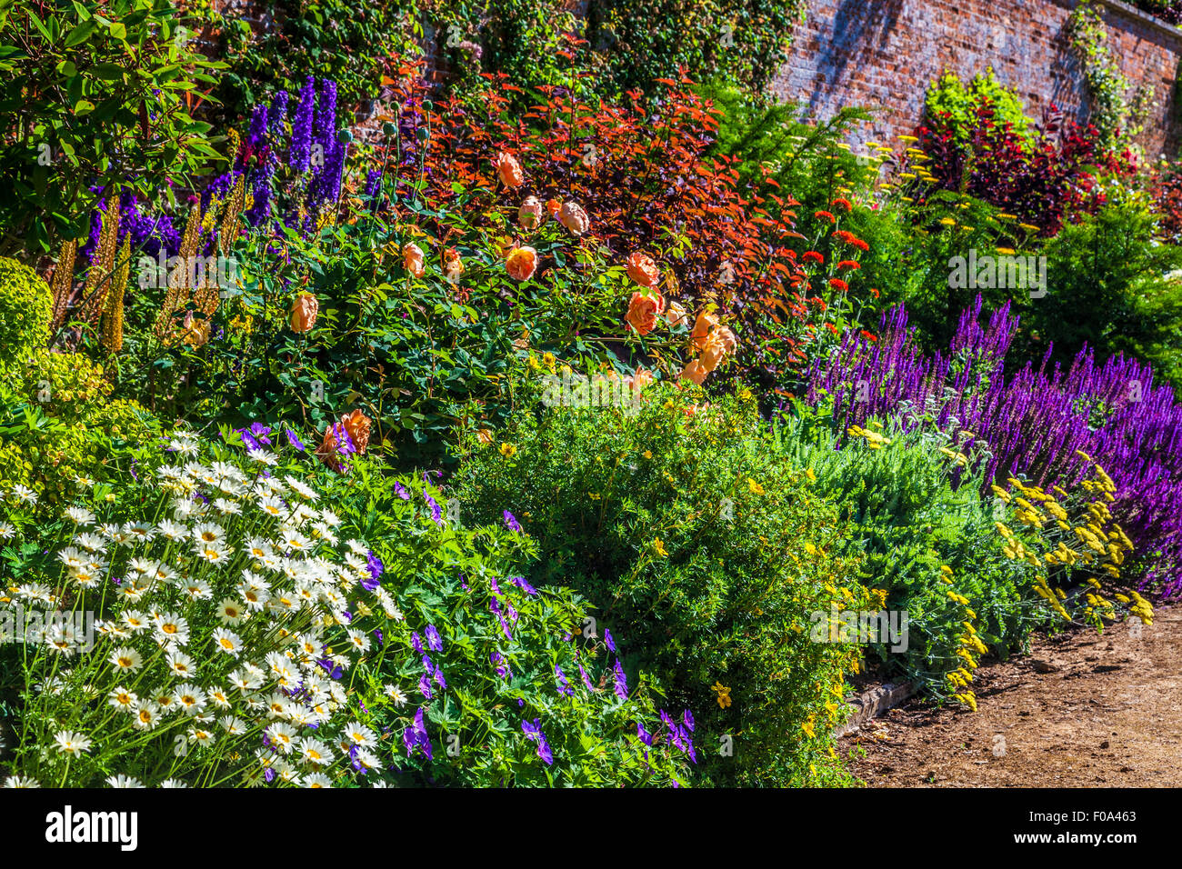 Frontera herbácea en el jardín amurallado de Bowood House en Wiltshire. Foto de stock