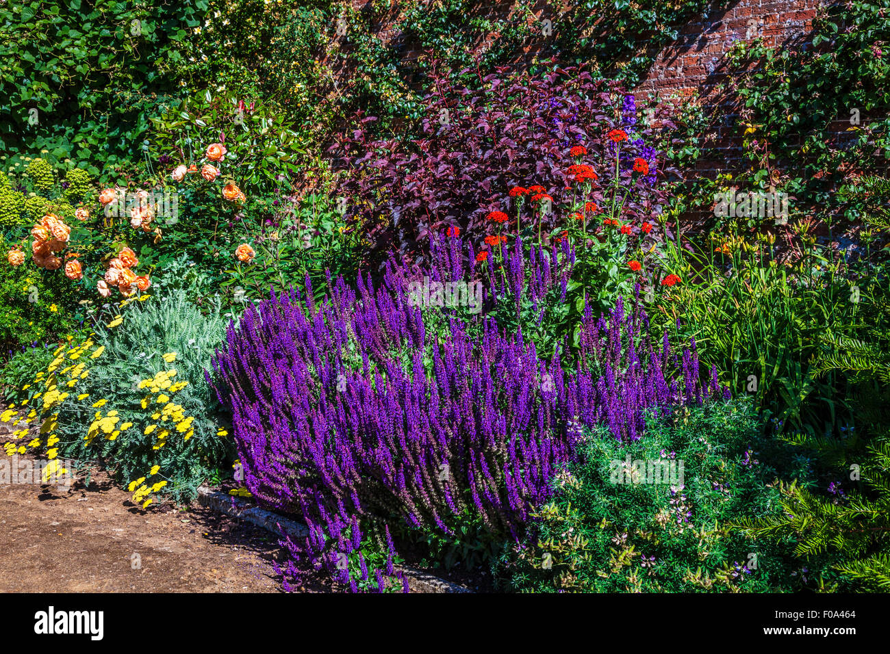 Frontera herbácea en el jardín amurallado de Bowood House en Wiltshire. Foto de stock