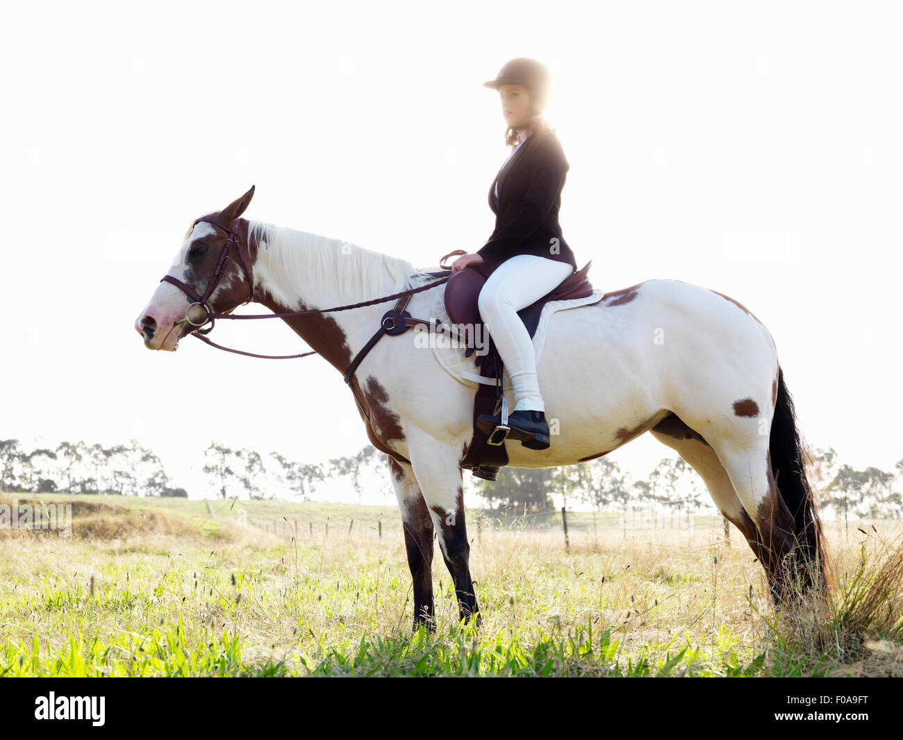 Retrato de una adolescente en caballo en el campo Foto de stock