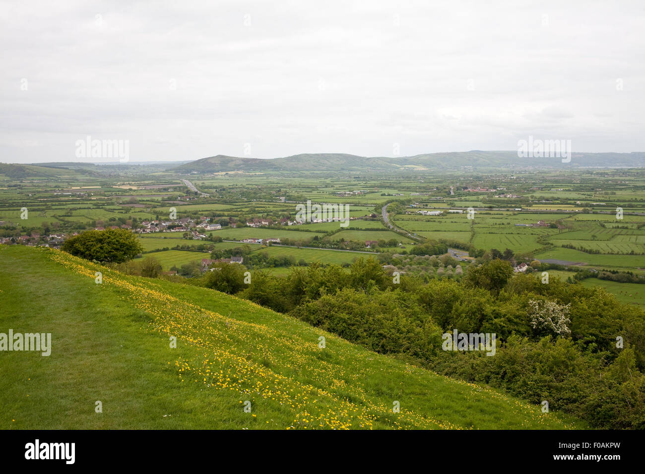Verdes campos de Somerset niveles de Brent Knoll con Mendip Hills en la distancia Foto de stock