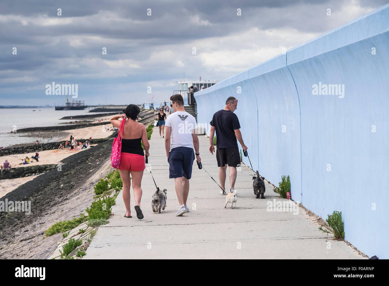 Canvey Isla - gente paseando sus perros a lo largo de la pared del mar en la isla de Canvey, Essex. Foto de stock