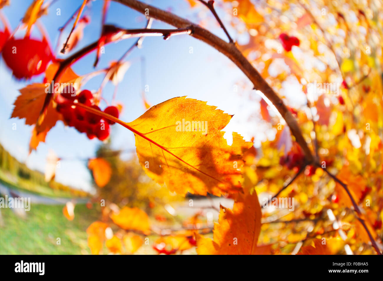 Colores de octubre fotografías e imágenes de alta resolución Alamy