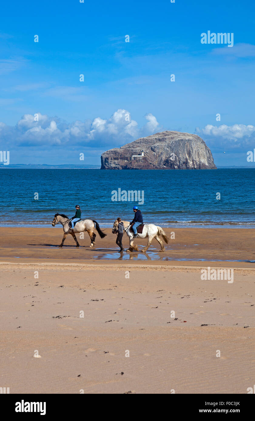 Los jinetes en East Lothian playa con Bass rock en el fondo Escocia UK Foto de stock
