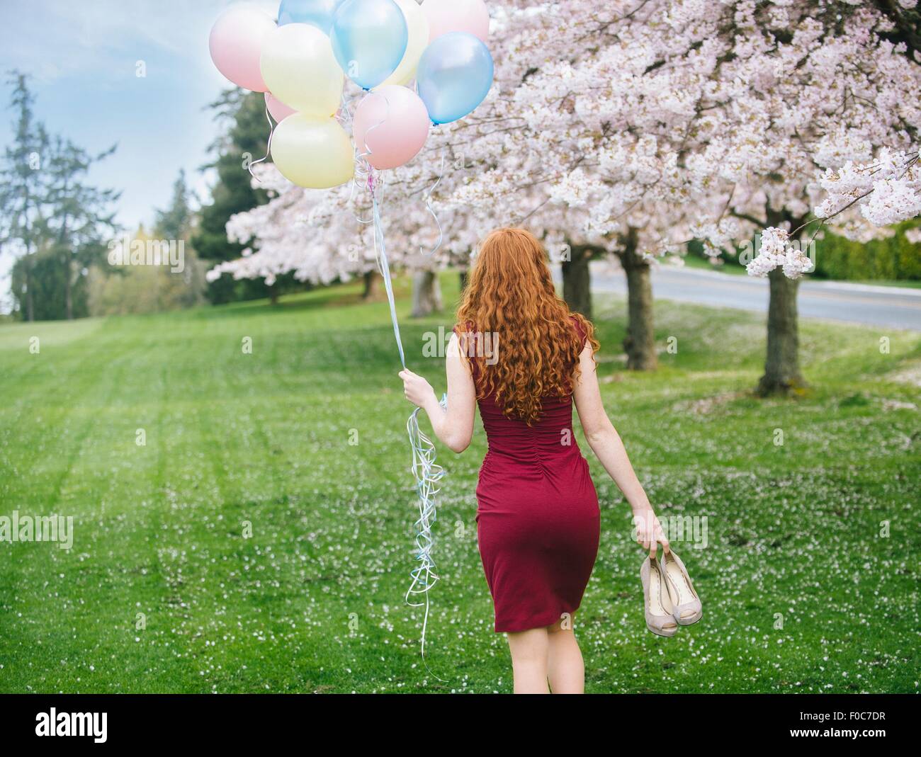 Vista trasera de la mujer joven con largo cabello rojo ondulado y montón de globos paseando en primavera park Foto de stock