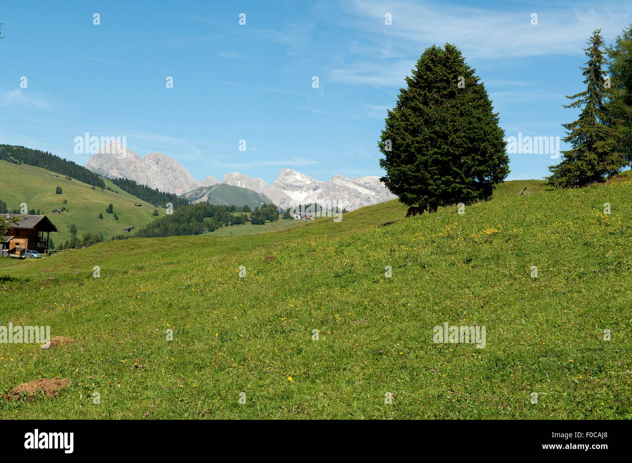 , Alm Seiser, Dolomiten, UNESCO-Weltnaturerbe, dolomitas, Foto de stock