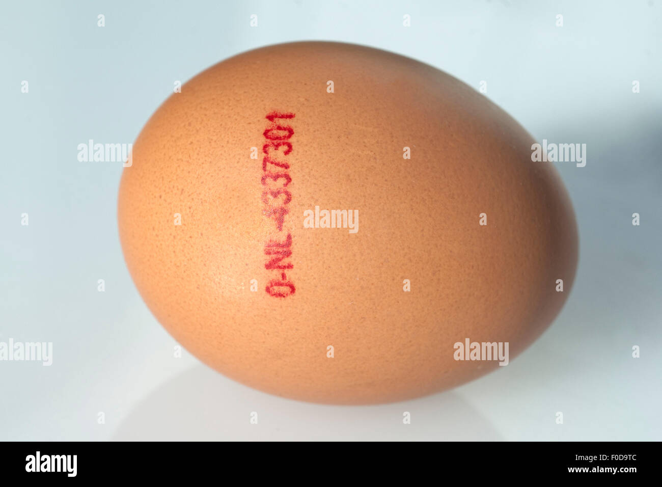 Braunes Ei, Huehnerei, gestempelt, Stempel, Foto de stock