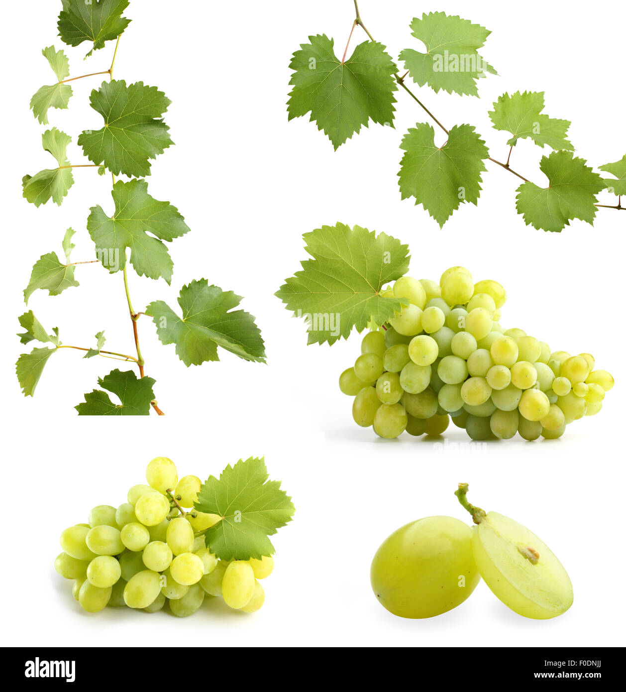 Hojas de parra y uvas verdes collage Fotografía de stock Alamy