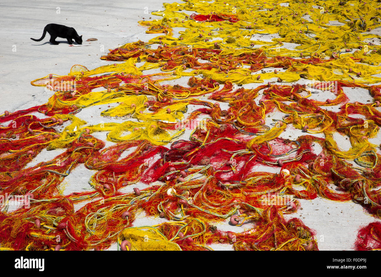 Colorido redes de pesca establecidas en el harborside en Grecia, como un gato negro se encuentra los restos de un cazón Foto de stock